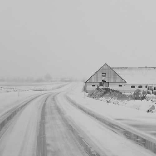 Art in real estate projects